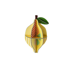 LEMON_PRODUCT-PICTURE