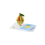 LEMON_PRODUCT-PICTURE-WITH-GREETING-CARD-ENVELOPE
