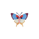 Plum-Fringe-Butterfly