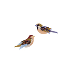 SPARROWS_PRODUCT-PICTURE