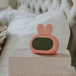 mary-s--alarm-clock--rabbit--green