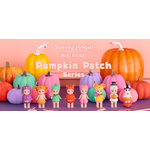 img_pumpkin_patch_banner