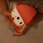 mary-s--led-lamp--strawberry (3)