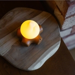 mary-s--led-lamp--fireplace (3)