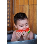 L-WALLY-THE-WATERMELON_UNIT_4-36_preview