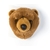 ours brun