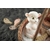 culbuto-original-jouet-mouton-petit-d-homme