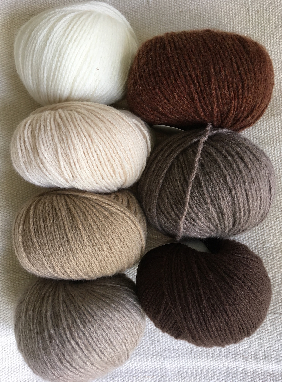 cachemire cardiff brun:beige