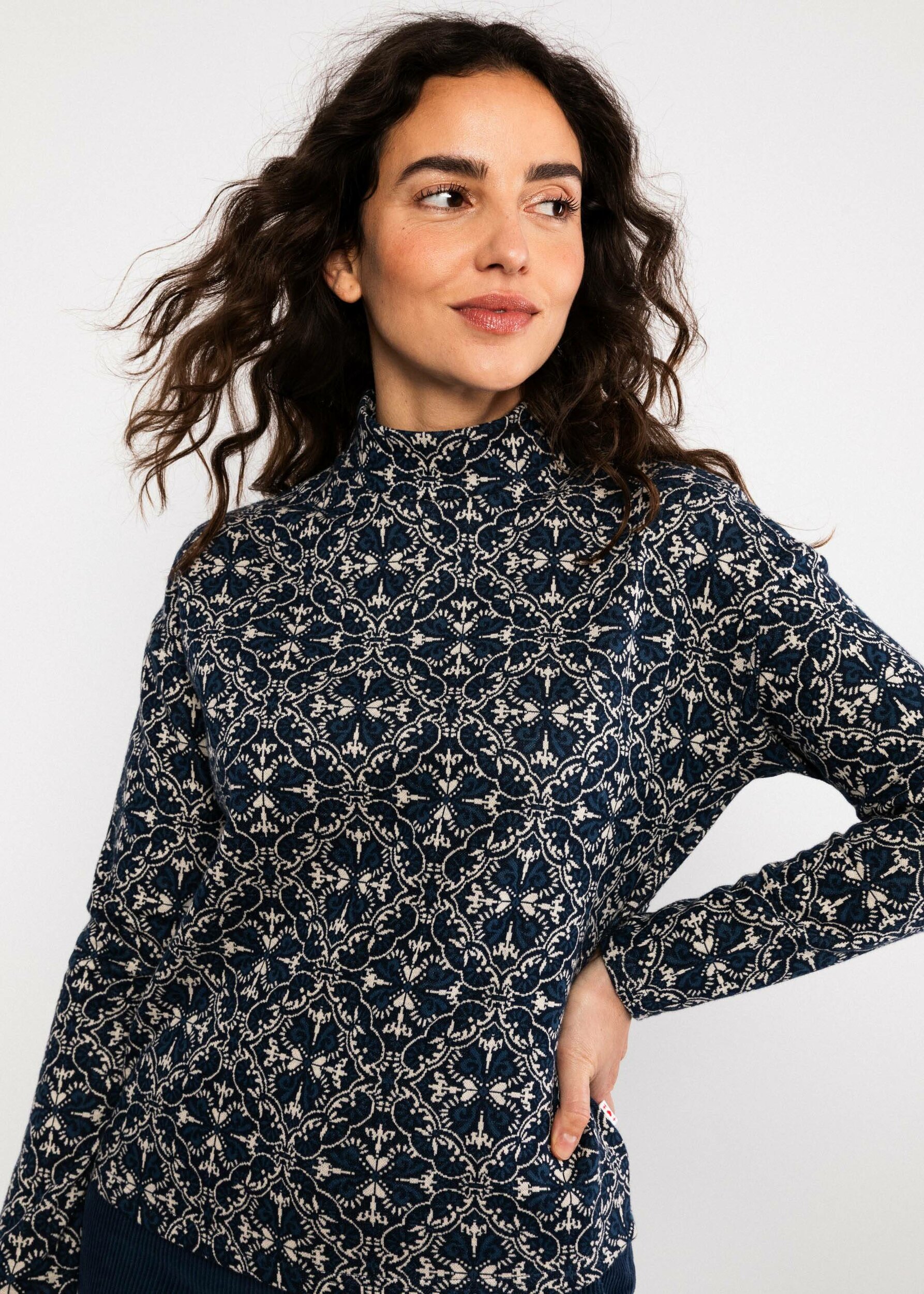 Pull-warm-up-turtle-vienna-art-blue-bleu-coton-biologique-Blutsgeschwister01