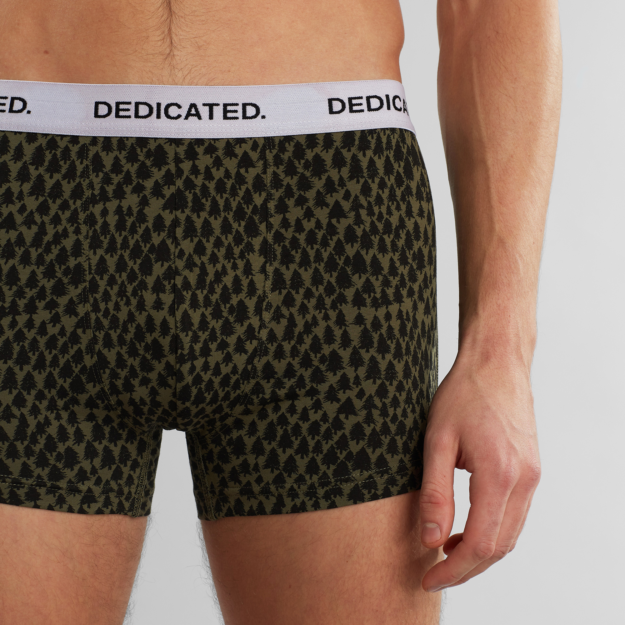 Boxers Arbres 02