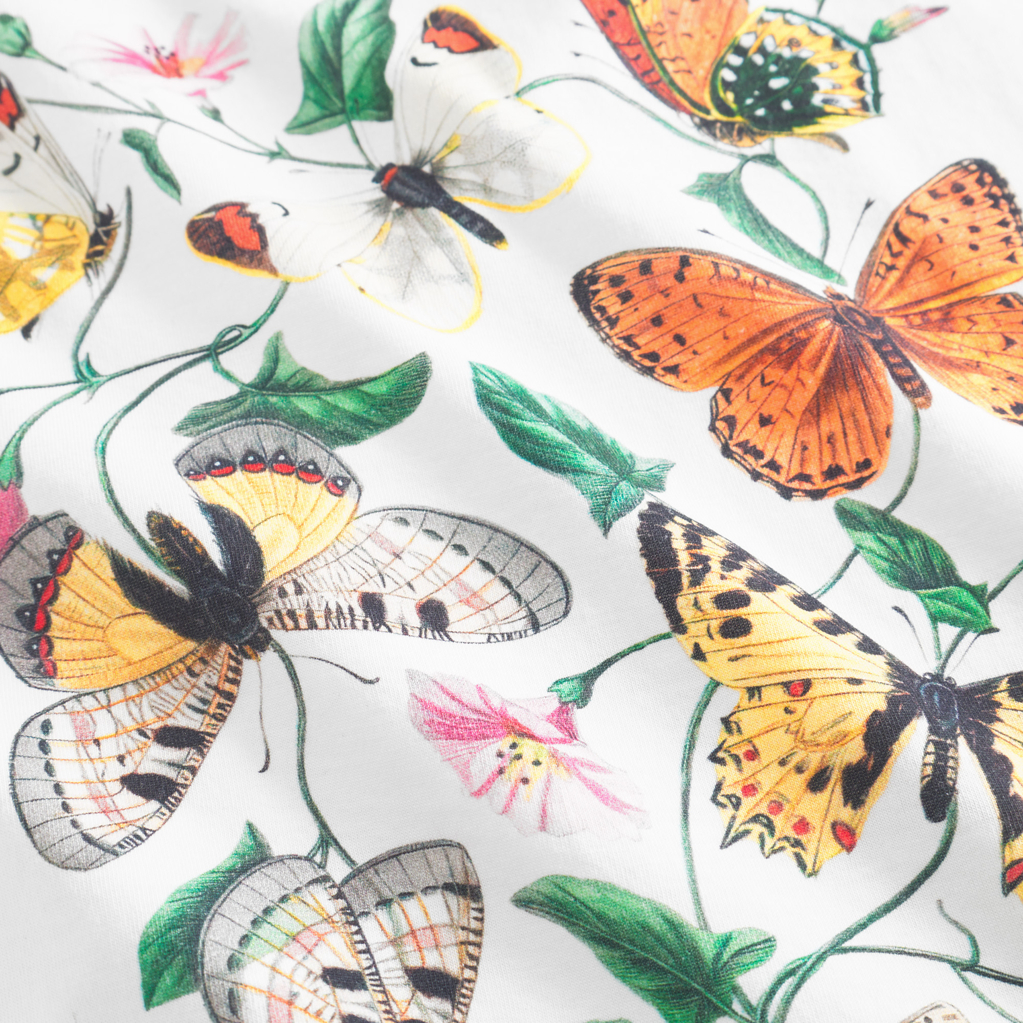 T-shirt Visby Butterfly Field White - coton biologique - Dedicated 03
