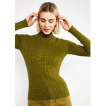 Sous-pull-jazz-chill-apple-juice-vert-coton-biologique-tencel-Blutsgeschwister01