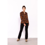 Aime_top_ORR_front