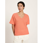 T-shirt-Ambre-peach-coton-biologique-Lanius01