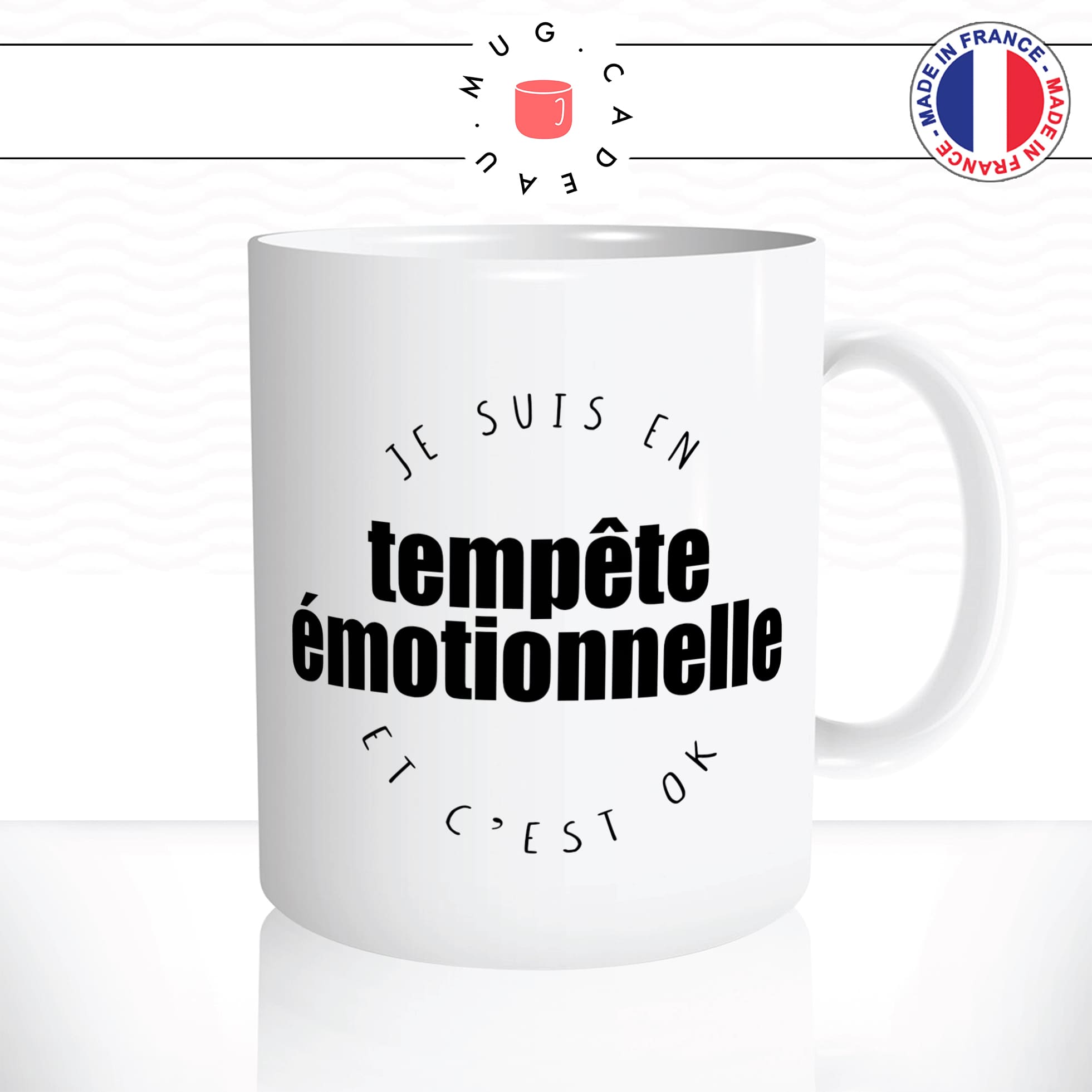 mug-cadeau-tempete-emotionnelle-cest-ok