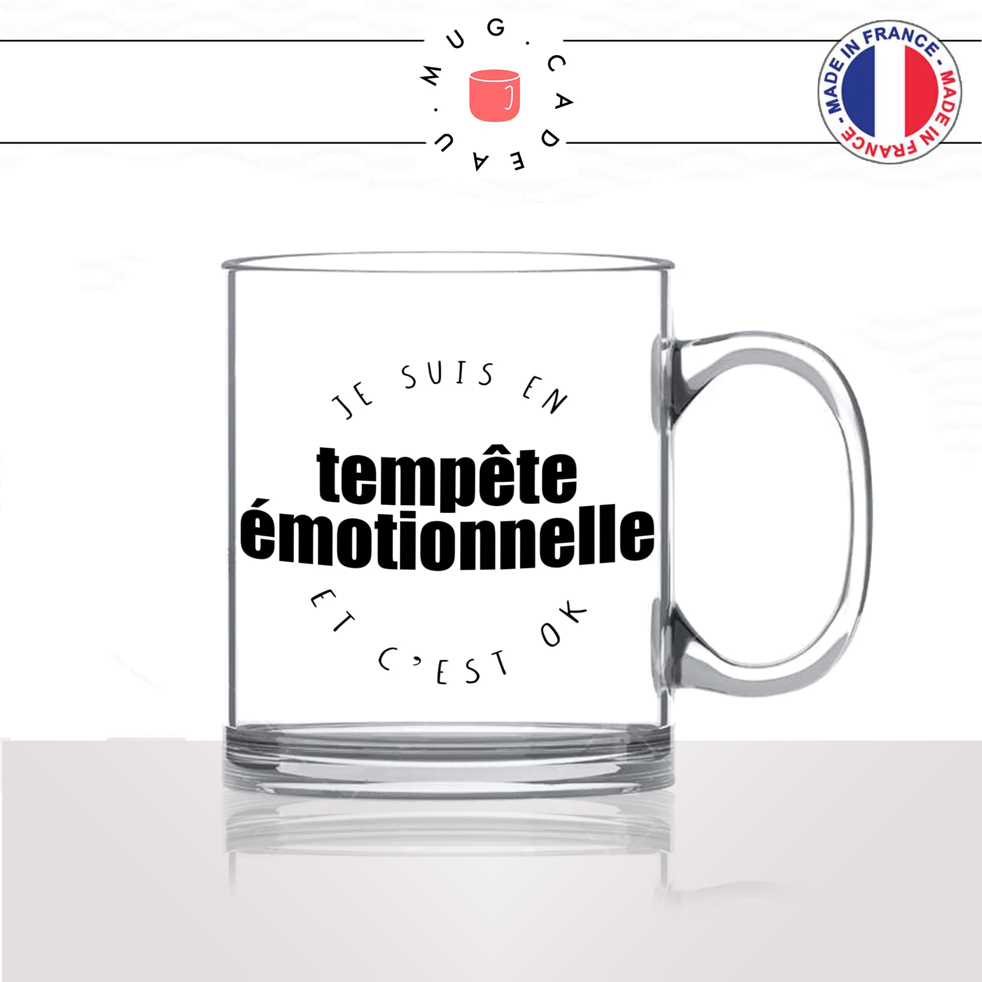 mug-cadeau-en-verre-tempete-emotionnelle-parent-montessori