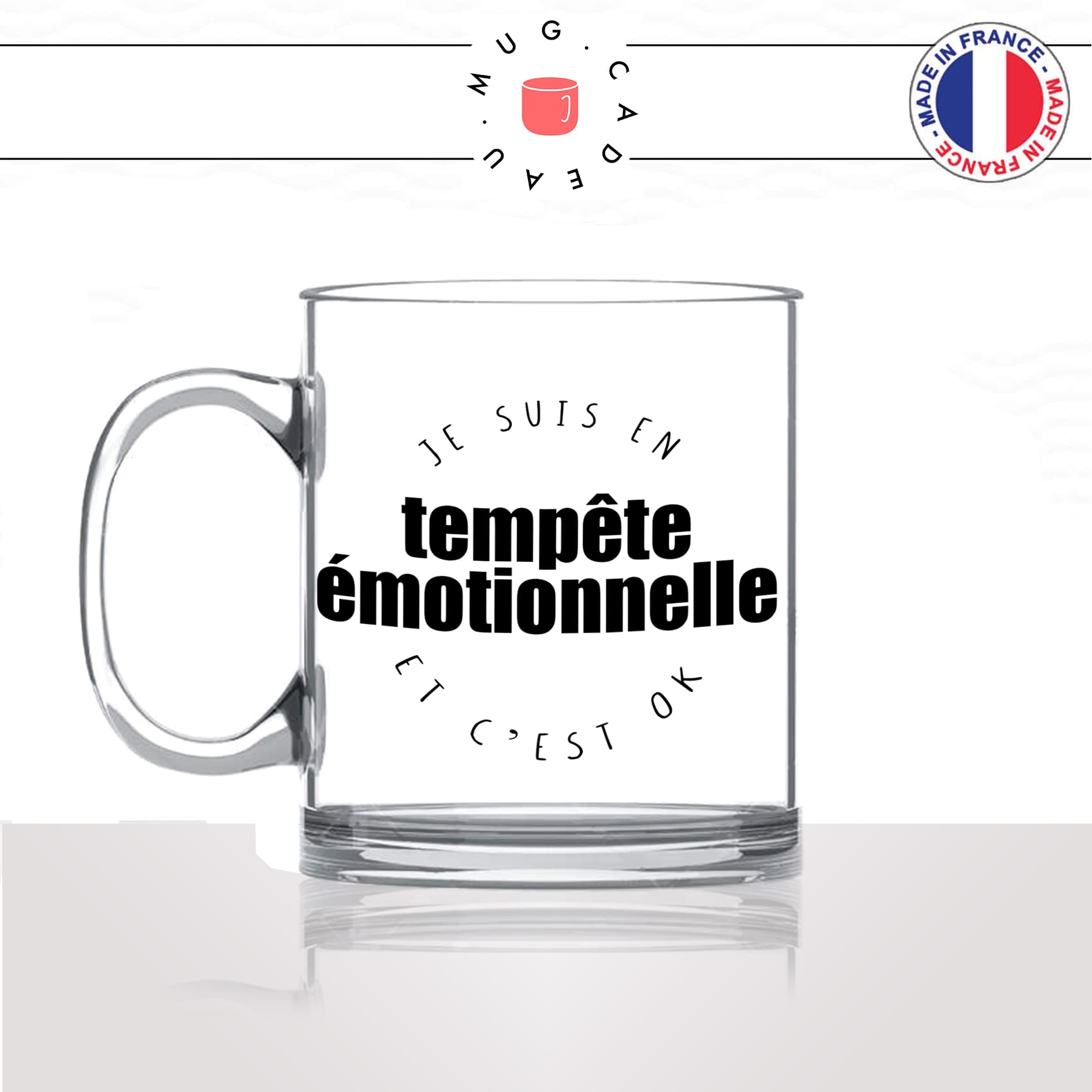 mug-cadeau-en-verre-tempete-emotionnelle-humour-parent