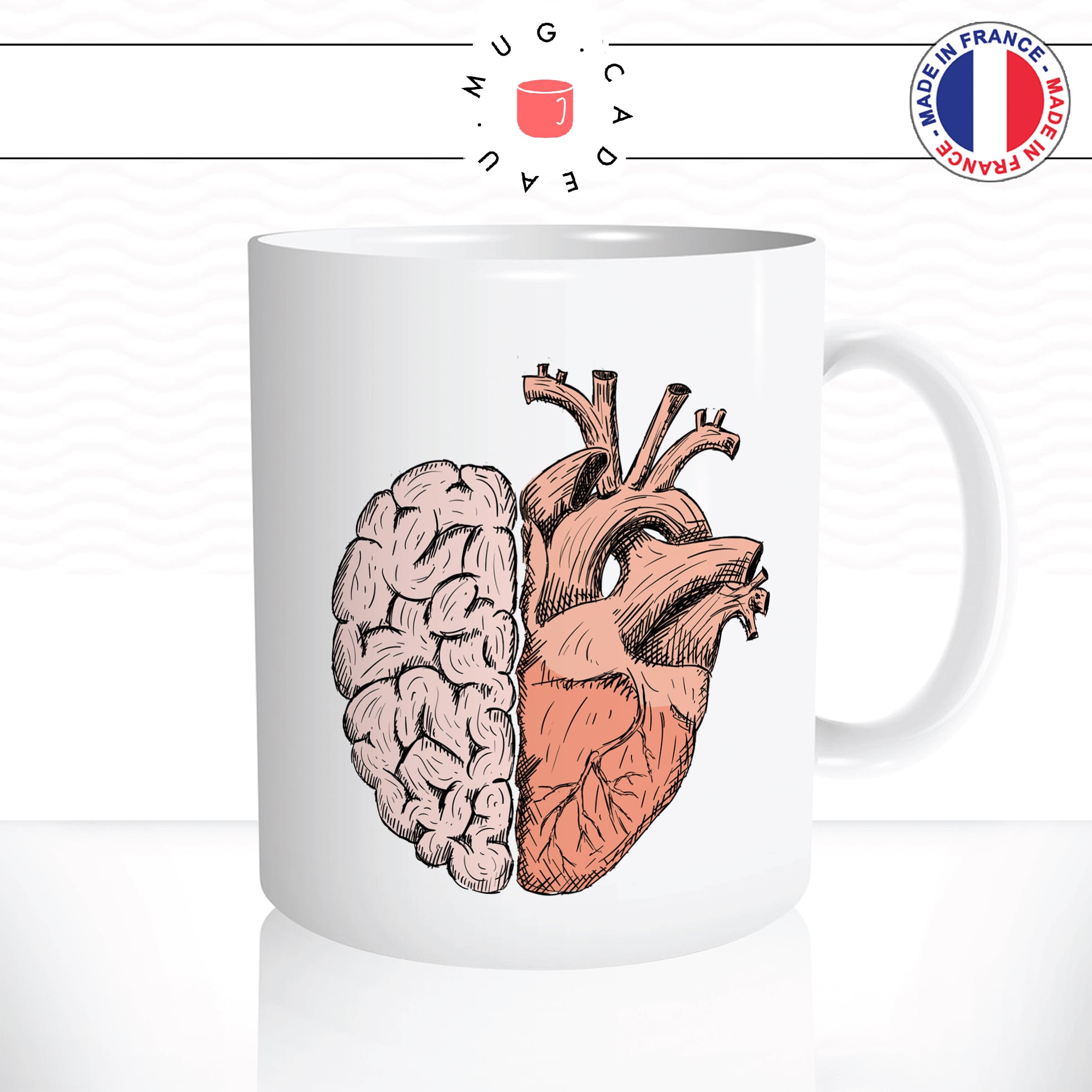 mug-tasse-cerveau-coeur-organes-amour-couple-aimer-science-drole-idee-cadeau