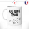 mug-tasse-blanc-brillant-viens-du-coté-obscur-on-a-des-jolies-filles-starwars-film-parodie-humour-idée-cadeau-originale-fun-unique