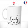 totoro