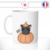 mug-tasse-chat-chaton-noir-citrouille-halloween-cachette-miaou-mignon-dessin-animal-cafe-thé-idée-cadeau-original1