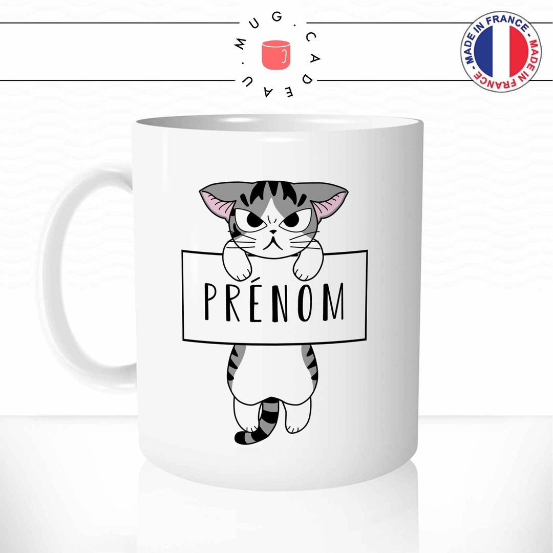 Mug chaton cadeau de Noël mug chat tasse en céramique garçon chaton tasse  personnalisée, cadeau de Noël personnalisé, cadeau d'anniversaire -   France