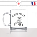 mug-tasse-en-verre-transparent-glass-jpeux-pas-jai-poney-cheval-cavalier-equitation-mignon-humour-stylé-sport-idée-cadeau-fun-cool-café-thé