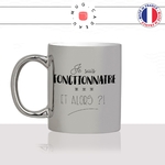 mug-tasse-argenté-silver-je-suis-fonctionnaire-et-alors-poste-mairie-police-infirmiere-humour-métier-fun-cool-café-thé-idée-cadeau-original