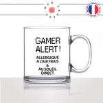 mug-tasse-en-verre-transparent-glass-gamer-alerte-gaming-geek-jeux-videos-definition-soleil-homme-femme-humour-fun-cool-idée-cadeau2