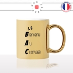 mug-tasse-or-doré-gold-unique-le-bac-bienvenu-au-chomage-lycée-homme-femme-accronyme-humour-fun-cool-idée-cadeau-original-personnalisé2