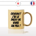 mug-tasse-or-doré-gold-unique-meme-oooh-jai-le-droit-de-vivre-un-peu-homme-femme-geek-humour-fun-cool-idée-cadeau-original-personnalisé2
