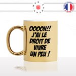mug-tasse-or-doré-gold-unique-meme-oooh-jai-le-droit-de-vivre-un-peu-homme-femme-geek-humour-fun-cool-idée-cadeau-original-personnalisé
