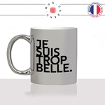mug-tasse-argenté-argent-gris-silver-je-suis-trop-belle-femme-collegue-jolie-sexy-copine-couple-offrir-humour-fun-idée-cadeau-originale-cool