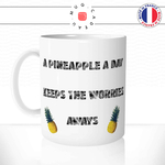 mug-tasse-ref4-citation-food-pineapple-ananas-no-worries-cafe-the-mugs-tasses-personnalise-anse-gauche