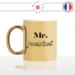 mug-tasse-or-doré-gold-mr-monsieur-je-sais-tout-intelligent-chiant-savoir-prof-homme-humour-fun-idée-cadeau-originale-cool