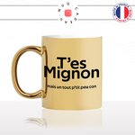mug-tasse-or-doré-gold-tes-mignon-mais-un-tout-petit-peu-con-connard-beau-gosse-homme-humour-fun-idée-cadeau-originale-cool
