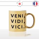 mug-tasse-or-doré-gold-veni-vidi-vici-napoleon-latin-citataion-guerre-venu-vu-vaincu-humour-fun-idée-cadeau-originale-cool2-min