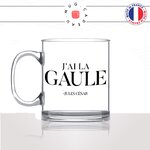 mug-tasse-en-verre-transparent-glass-jai-la-gaule-gaulle-jules-cesar-empereur-france-francais-romains-humour-matin-homme-idée-cadeau-fun