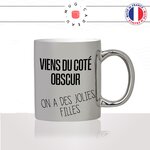mug-tasse-argent-argenté-silver-gris-viens-du-coté-obscur-on-a-des-jolies-filles-starwars-film-parodie-humour-idée-cadeau-originale-fun-unique2