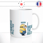 mug-tasse-ref29-dessin-anime-cartoon-film-minion-personnages-makes-break-rules-cafe-the-mugs-tasses-personnalise-anse-droite