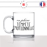 mug-cadeau-en-verre-tempete-emotionnelle-parent