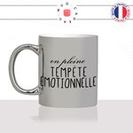 mug-cadeau-gris-en-plein-tempete-emotionnelle