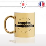 mug-cadeau-dore-tempete-emotionnelle-cest-ok