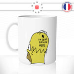 insertbrainhomer