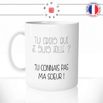 follemasoeur