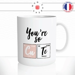 mug-tasse-you-are-so-cute-geek-element-science-amour-couple-mignon-idee-cadeau-original1