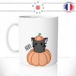 mug-tasse-chat-chaton-noir-citrouille-halloween-cachette-miaou-mignon-dessin-animal-cafe-thé-idée-cadeau-original1