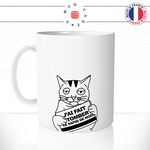 mug-tasse-chat-chaton-j'ai-fait-tomber-sapin-noel-drole-mignon-dessin-animal-cafe-thé-idée-cadeau-original1