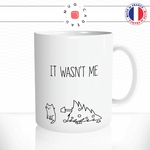 mug-tasse-chat-chaton-sapin-noel-wasnt-me-pas-moi-drole-mignon-dessin-animal-cafe-thé-idée-cadeau-original
