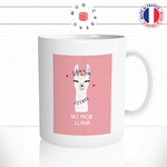 mug-tasse-animal-no-prob-llama-lama-alpaga-mouton-dessin-cool-fun-mugs-tasses-café-thé-idée-cadeau-original-personnalisable1